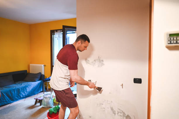 Best Crawl Space Mold Remediation in Bushnell, FL